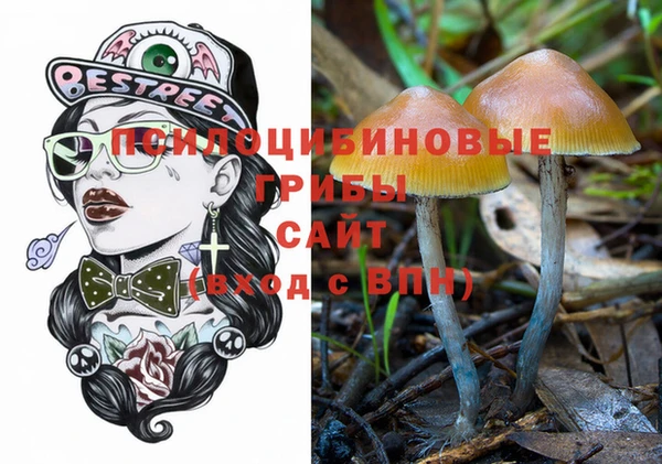 apvp Березники