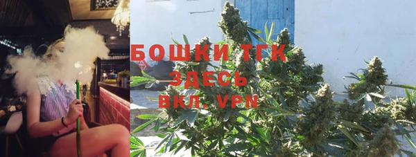 гидра Мегион